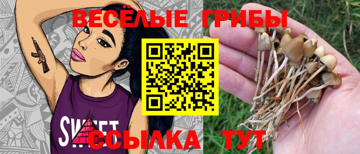Галлюциногенные грибы Magic Shrooms Черногорск